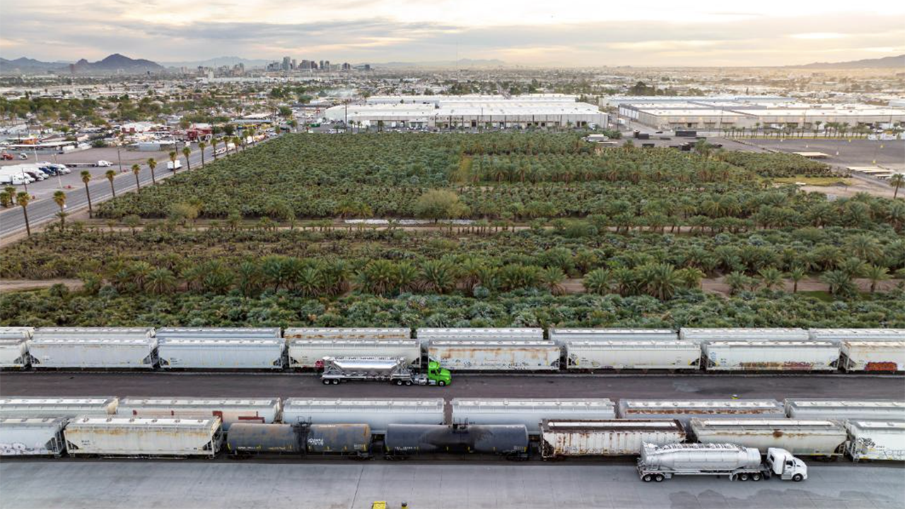 Blue Hesper palm trees grow alongside Union Pacific rails at the Phoenix Transload Facility, where they have coexisted with rail for more than 30 years. (Caption and Photograph Courtesy of UP)